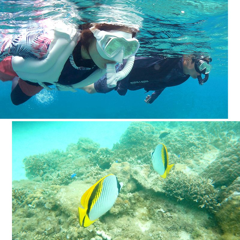 ≪一年間製品保証＆送料無料≫プレゼント付きシュノーケルセットドライスノーケルHeleiWahoヘレイワホKalamaシュノーケリングセットマスクスノーケル2点セット大人子供水中メガネドライシュノーケルメッシュバッグ付き