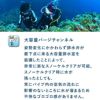 スノーケルTUSA/ツサSP170シュノーケルシュノーケリングダイビングスキューバスキューバダイビングスノーケルスノーリング