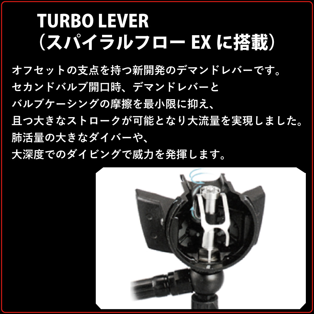 BismビーイズムWHITEBeans2