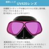 ダイビングマスクアポロapolloバイオメタルマスクPREMIUM二眼水中マスクUVスキューバダイビングフリーダイビングシュノーケリングシリコンスキューバ