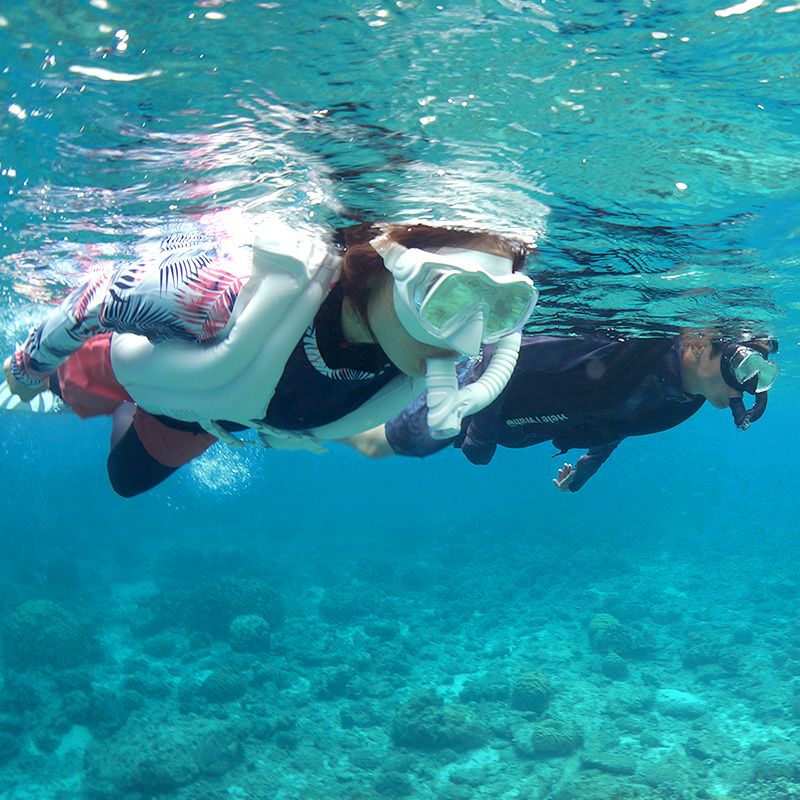 ≪一年間製品保証＆送料無料≫プレゼント付きシュノーケリングセットドライスノーケルシュノーケル3点セットマスクフィンドライシュノーケルセットHeleiWahoヘレイワホKalamaシュノーケリング3点セット大人子供水中メガネゴーグル足ヒレメッシュバッグ