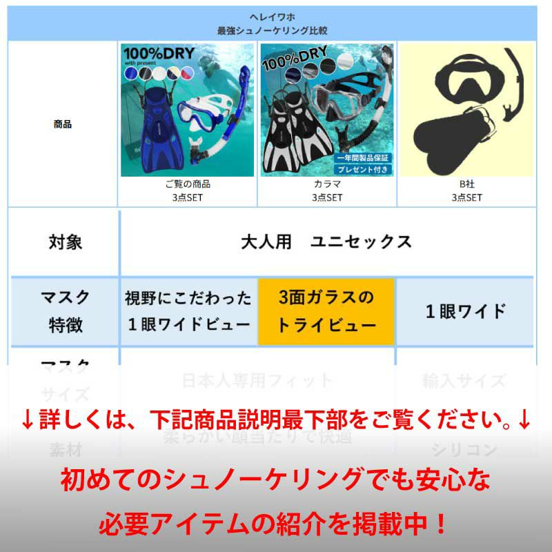 シュノーケルセット100％ドライスノーケルシュノーケリングセットマスクフィンドライシュノーケル3点セットスノーケリングHeleiWahoヘレイワホOhana＋3点大人子供水中メガネゴーグル足ヒレスノーケルメッシュバッグプレゼント