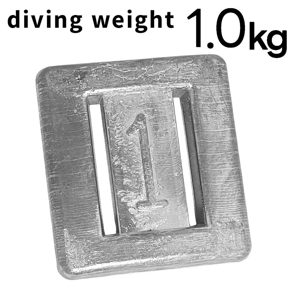 日光社ノーマルウエイト1kg