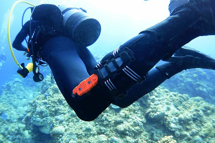 【ダイビングアクセサリー】GearAid/ギアエイド輸入ナイフBuriDropPointKnife