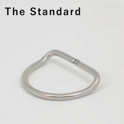 Dリング The Standard ザ・スタンダード ベントあり ウェイトベルト ダイビング アクセサリー パーツ テック ステンレス  φ5mm