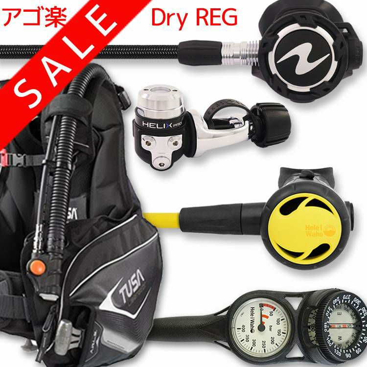 【0101-coreFlx-absFlx-Hmfx2】