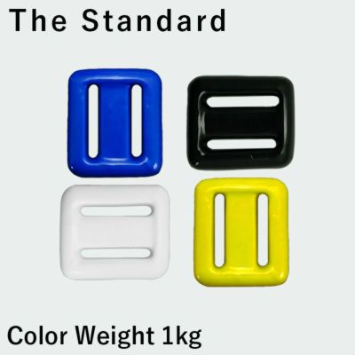 カラーウエイト 1kg 鉛 スキューバダイビング スピアフィッシング フリーダイビング 素潜り The standard