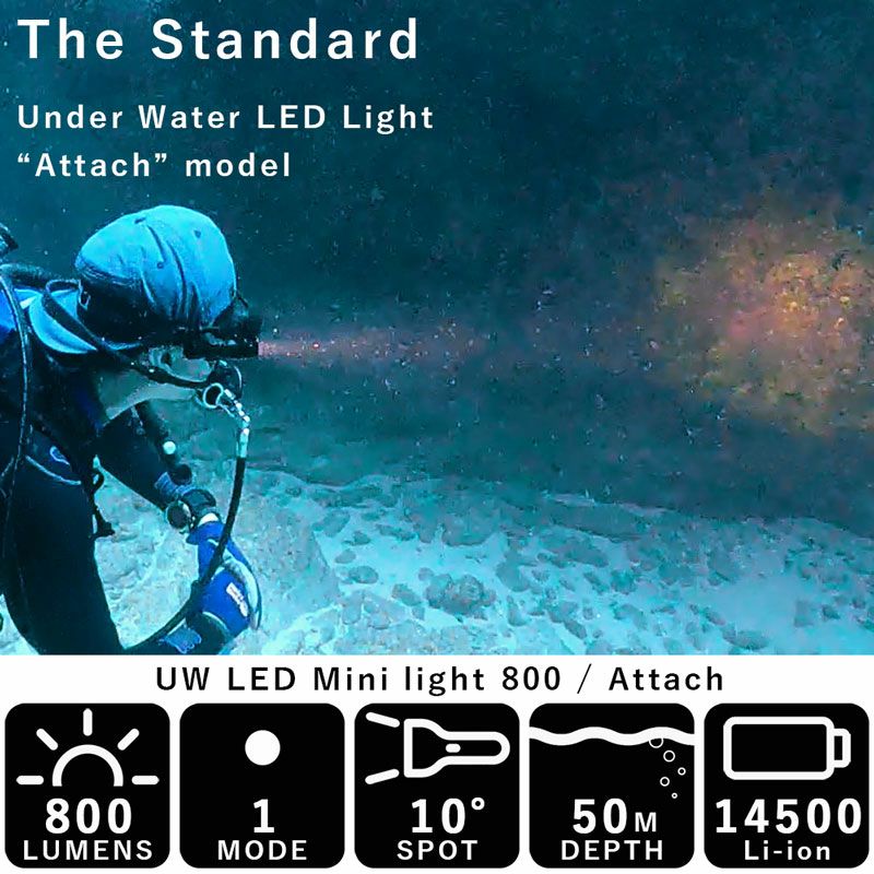 ミニライト800ルーメン ダイビングライト The Standard ザ・スタンダード 水中ライト LEDライト フラッシュライト 安全設計  14500 Li-ion 【バッテリー・充電器 別売】 | Diving＆Snorkeling AQROS