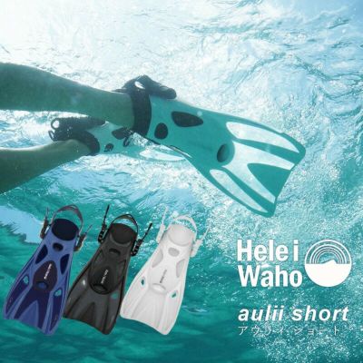 シュノーケリング | Diving＆Snorkeling AQROS