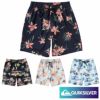 QUIKSILVERクイックシルバーJAMショーツメンズ19インチインナー付きサーフィンビーチ海プールアウトドアサマーEVERYDAYIXVOLLEY19