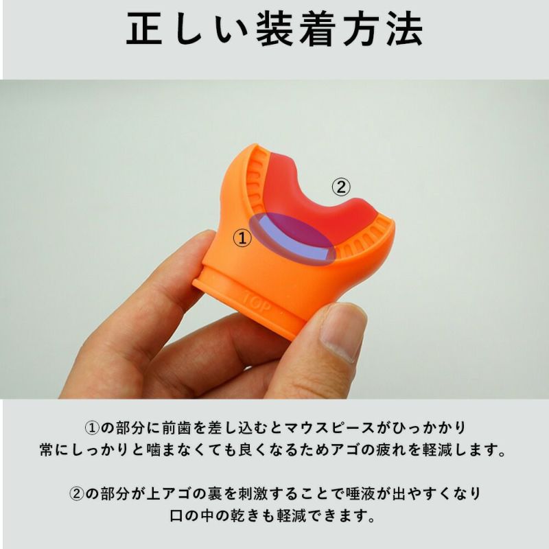 C/Bマウスピースアゴ楽TheStandardザ・スタンダードレギュレーターダイビングスキューバダイビングスモールサイズ