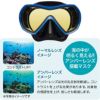 バレナソフト