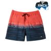 QUIKSILVERクイックシルバーボードショーツサーフパンツサーフショーツサーフィンメンズ撥水ストレッチポケットインナーメッシュ水陸両用19インチAQYJV03159EVERYDAYWORDBLOCKVOLLEY19