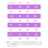 ROXYロキシーセミドライウェットスーツレディース5mmx4mmx3mmチェストジップ起毛防寒保温サーフィンウィンターサーフウエットスーツ5/4/3SWELLSERIESLCZFULLRWT244702