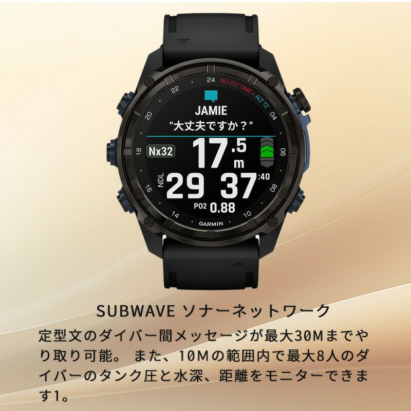 GARMINDescentMK3i51mmシリコンバンドセット