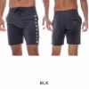 ALLDAY LT BF011501