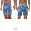 ALLDAY LT BF011501