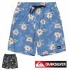 QUIKSILVER EVERYDAY STRAIGHT VL 19 QBS251001