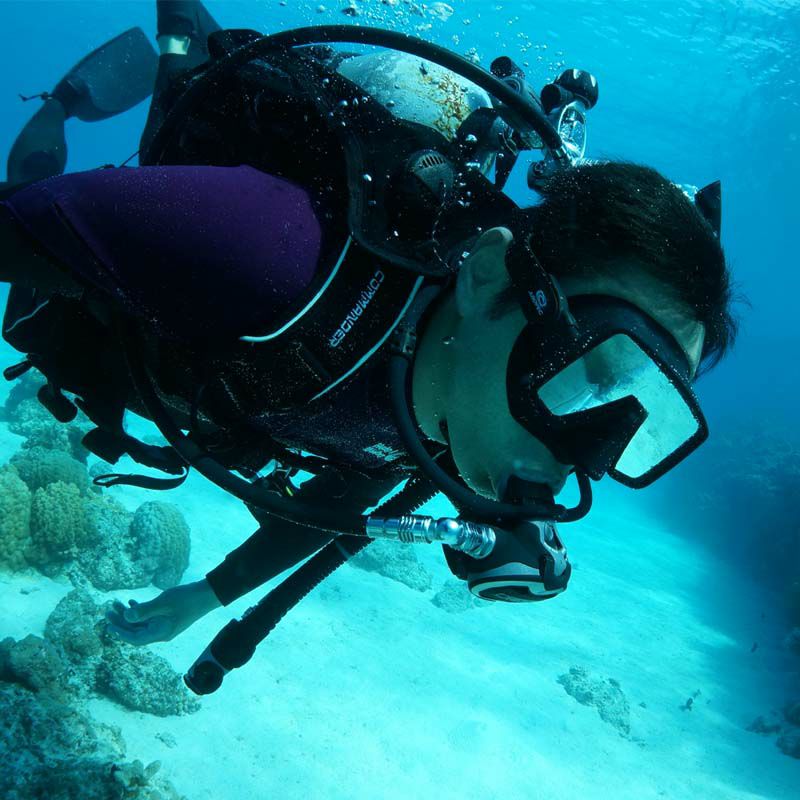 M1Frameless-TechSQUARECLASSIC/ダイビングマスクM1-GT03FB