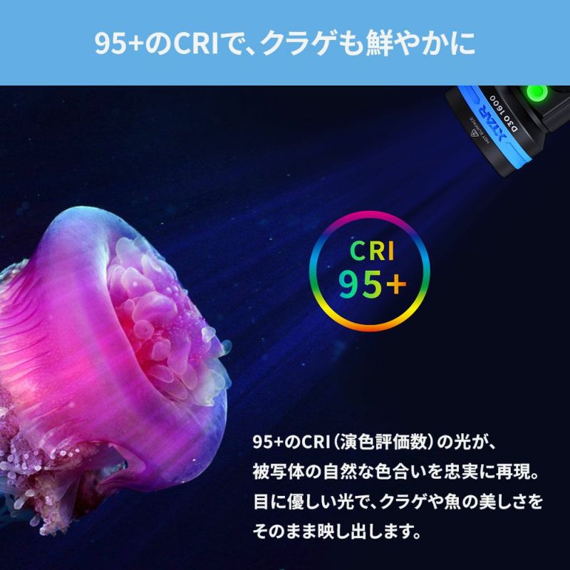 D301600(w/oBT,Charger)