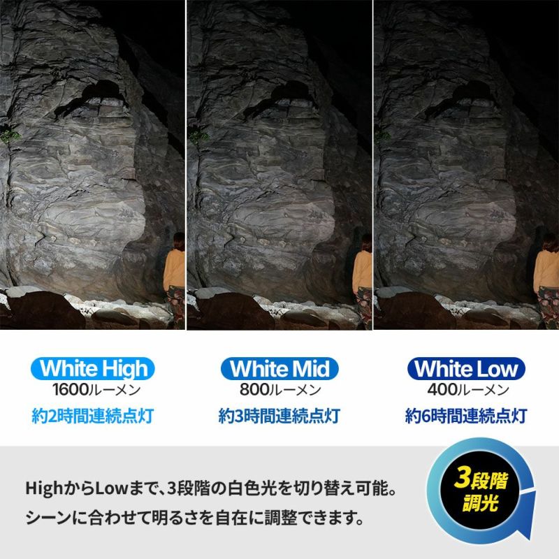 D301600(w/oBT,Charger)