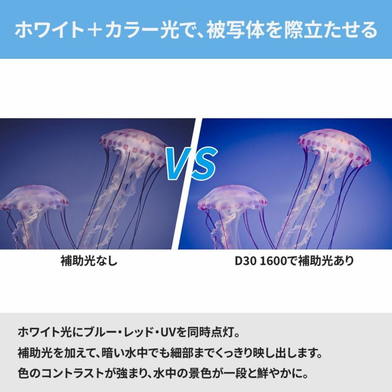 D301600(w/oBT,Charger)