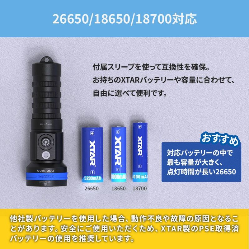 D301600(w/oBT,Charger)