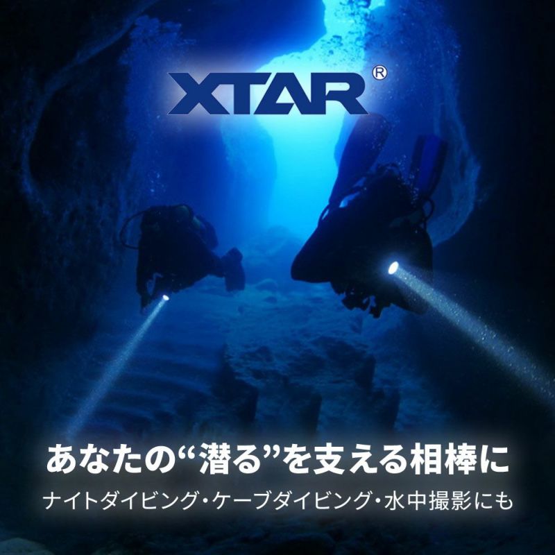 D20 press 1200 (w/o BT, Charger)