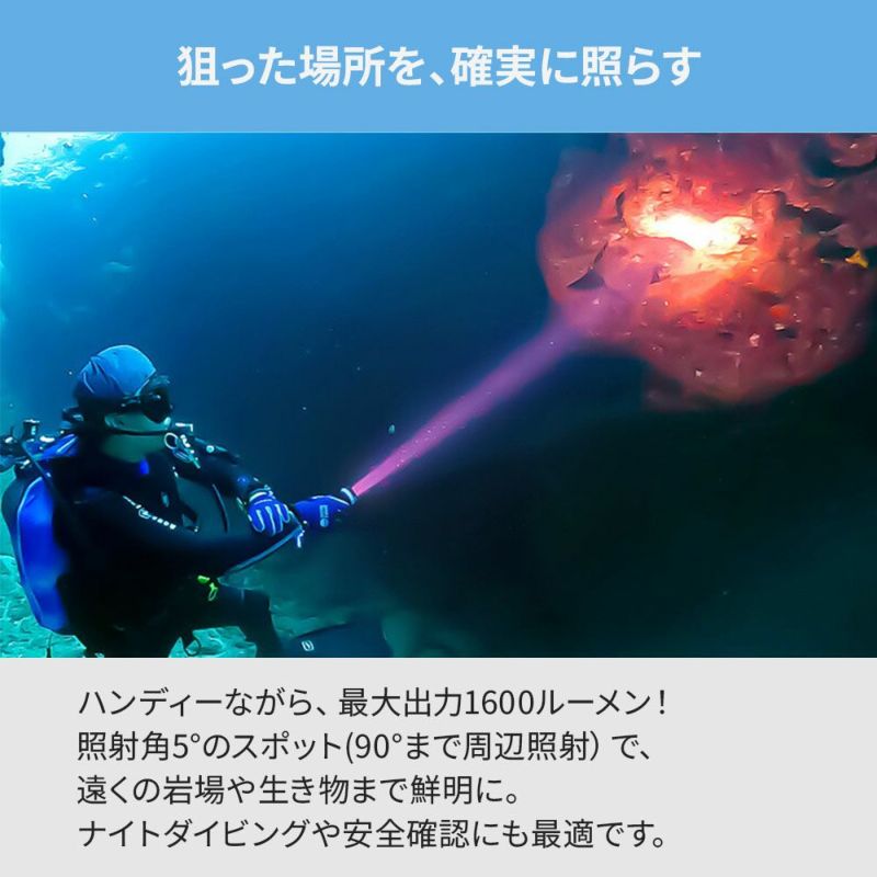 D261600S(w/oBT,Charger)