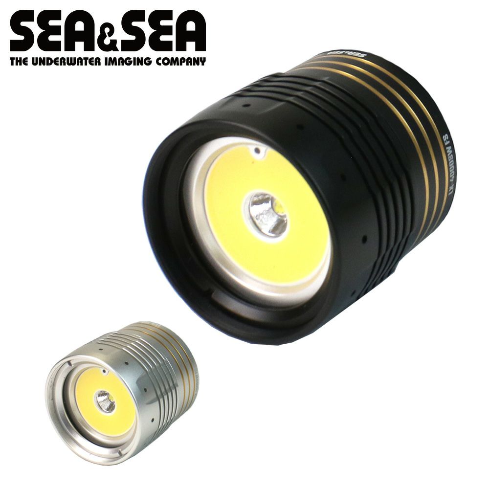 SEA＆SEA/シーアンドシーLX-4000SWFSライトヘッド【09160/09161】