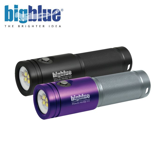 BLACKMOLLY6AL-2000XWPTriColor